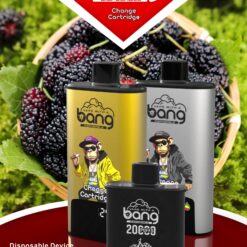 BANG 20000 Puffs Disposable Vape – 20ml, Type-C, 550mAh, Compact & Lightweight Design1