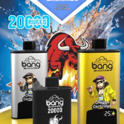 BANG 20000 Puffs Disposable Vape – 20ml, Type-C, 550mAh, Compact & Lightweight Design1