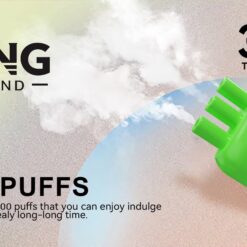 BANG 80000 Puffs Disposable Vape – 550mAh, Type-C Rechargeable, 6 Flavors, Compact Size1