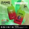 BANG 80000 Puffs Disposable Vape – 550mAh, Type-C Rechargeable, 6 Flavors, Compact Size1