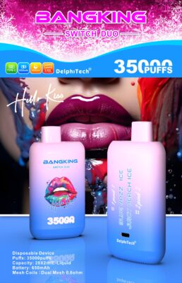 BANG KING 35000 Puffs Disposable Vape – Dual Mesh Coil, Type-C, 650mAh, 12 Flavors1