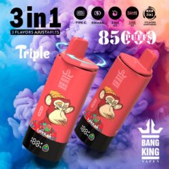 BANG KING 85000 Puffs Disposable Vape – 3-in-1, 63ml, Type-C, Mesh Coil, 600mAh Battery1