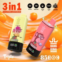 BANG KING 85000 Puffs Disposable Vape – 3-in-1, 63ml, Type-C, Mesh Coil, 600mAh Battery1