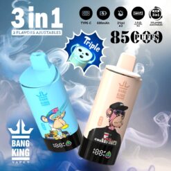 BANG KING 85000 Puffs Disposable Vape – 3-in-1, 63ml, Type-C, Mesh Coil, 600mAh Battery1
