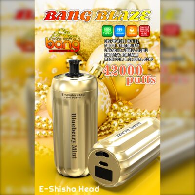 BANG Blaze 42000 Puffs Disposable Vape – 30mL, 1000mAh, Type-C Rechargeable, 0.6Ω Mesh Coil1