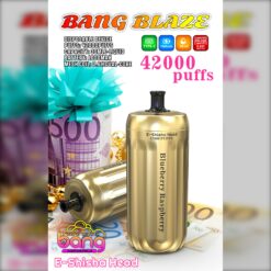 BANG Blaze 42000 Puffs Disposable Vape – 30mL, 1000mAh, Type-C Rechargeable, 0.6Ω Mesh Coil1