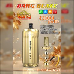 BANG Blaze 42000 Puffs Disposable Vape – 30mL, 1000mAh, Type-C Rechargeable, 0.6Ω Mesh Coil1