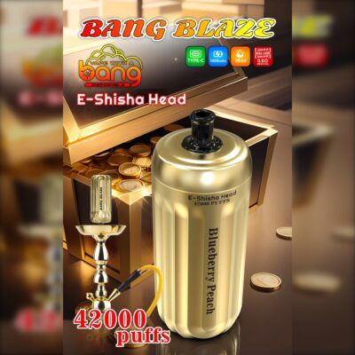 BANG Blaze 42000 Puffs Disposable Vape – 30mL, 1000mAh, Type-C Rechargeable, 0.6Ω Mesh Coil1