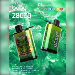 Bang 28000 Puffs Disposable Vape – ICE Control, 30ml, 650mAh, Rechargeable