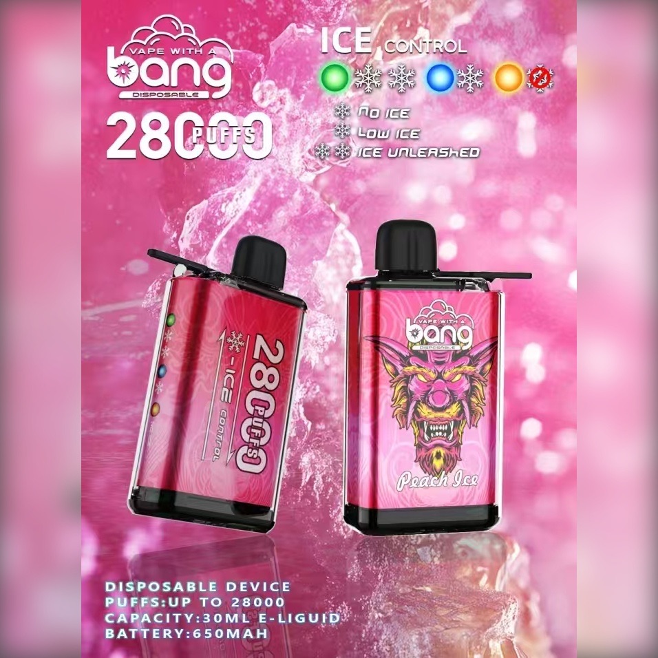Bang 28000 Puffs Disposable Vape – ICE Control, 30ml, 650mAh, Rechargeable
