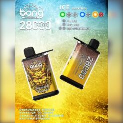 Bang 28000 Puffs Disposable Vape – ICE Control, 30ml, 650mAh, Rechargeable