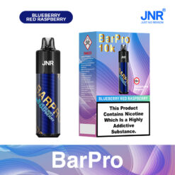 BarPro 10000 Puffs Disposable Vape — Pod Kit, Mesh Coil, Type-C, TPD Certified1
