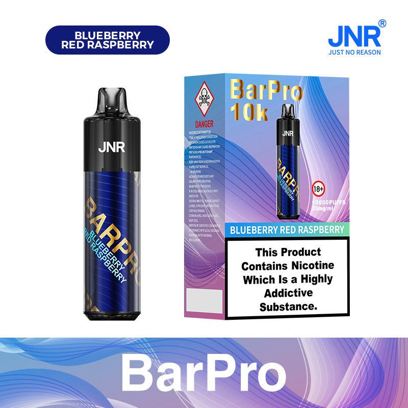 BarPro 10000 Puffs Disposable Vape — Pod Kit, Mesh Coil, Type-C, TPD Certified1
