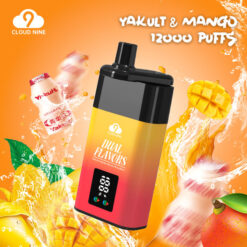 CLOUD NINE D19P 9000 Puffs Disposable – 10ml Capacity, 500mAh Battery, 1.0Ω Mesh Coil, 13W Output