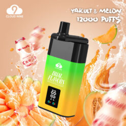 CLOUD NINE D19P 9000 Puffs Disposable – 10ml Capacity, 500mAh Battery, 1.0Ω Mesh Coil, 13W Output