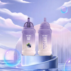 ELF BOX BK 12000 Puffs Disposable Vape – 23ml, 0.8Ω Mesh Coil, 650mAh Battery, Type-C Rechargeable1