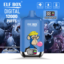 ELF BOX Digital 12000 Puffs Disposable Vape – Mesh Coil, Type-C Rechargeable, LED Digital Screen
