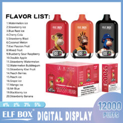 ELF BOX Digital 12000 Puffs Disposable Vape – Mesh Coil, Type-C Rechargeable, LED Digital Screen