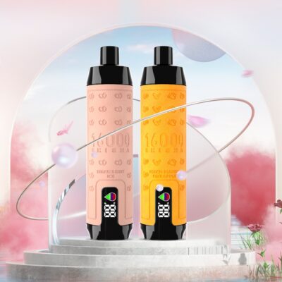 ELF BOX SHISHA 16000 Puffs Disposable Vape