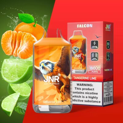 Falcon 16000 Puffs Disposable Vape – Dual Mesh Coil, Rechargeable, Adjustable Airflow
