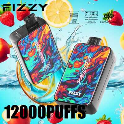 Fizzy Pandora 12000 Puffs Disposable Vape – Mesh Coil, 650mAh Rechargeable Battery, LED Display, Type-C Charging