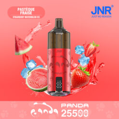 JNR Panda 25500 Puffs Refillable Vape Kit – Dual Mesh Coil, Smart Screen, Type-C Charging, TPD Certified1