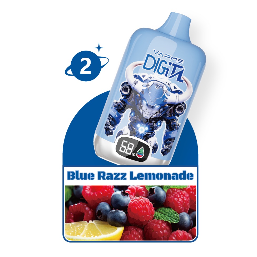 VAPME Digital 12000 Puffs Disposable Vape | 20ml, Mesh Coil, Type-C Charging
