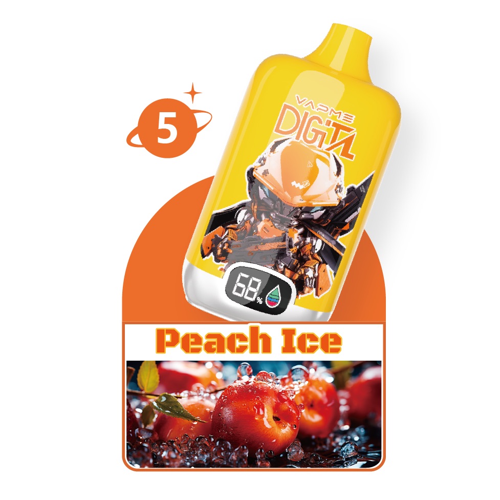 VAPME Digital 12000 Puffs Disposable Vape | 20ml, Mesh Coil, Type-C Charging